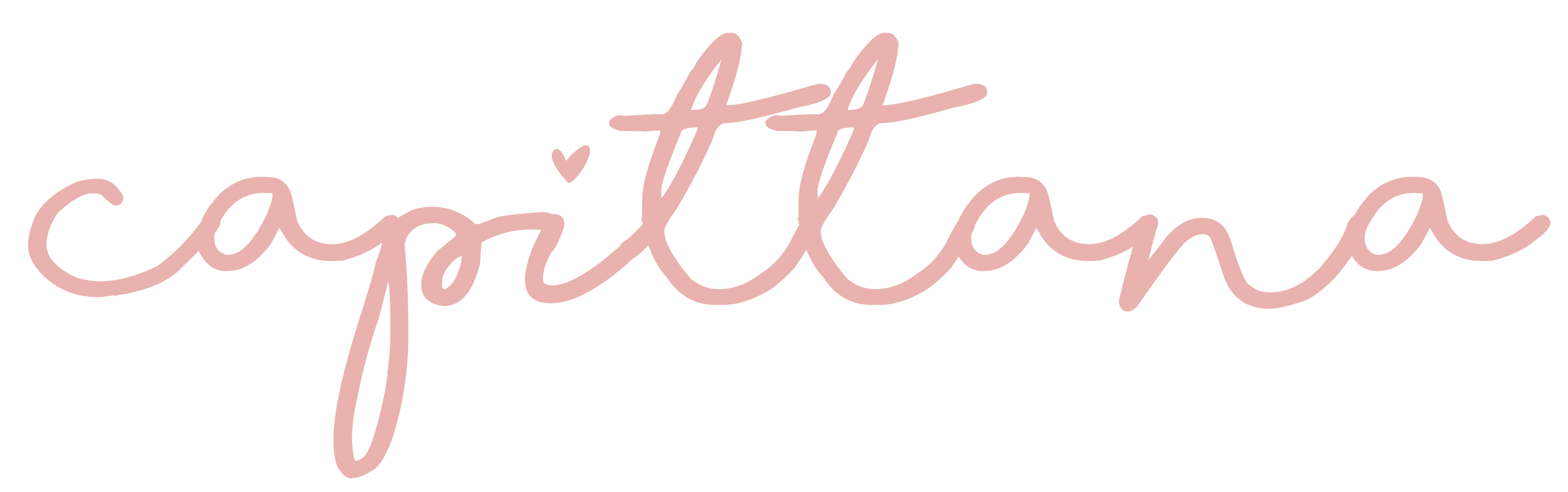Capittana Logo Header